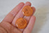 Marbled Butterscotch Bakelite Screw back Earrings
